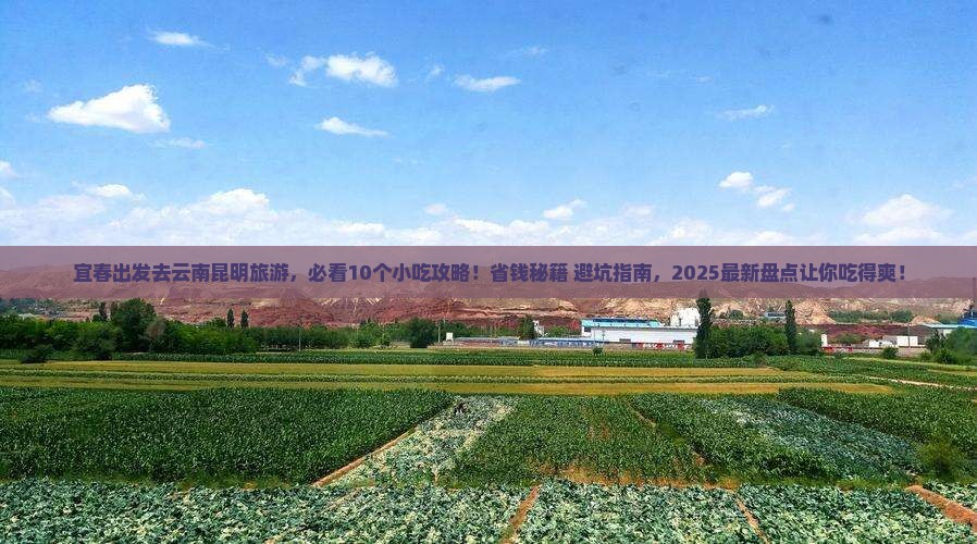 宜春去云南昆明旅游小吃