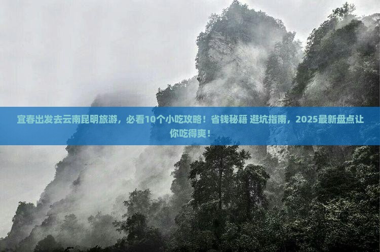 宜春去云南昆明旅游小吃