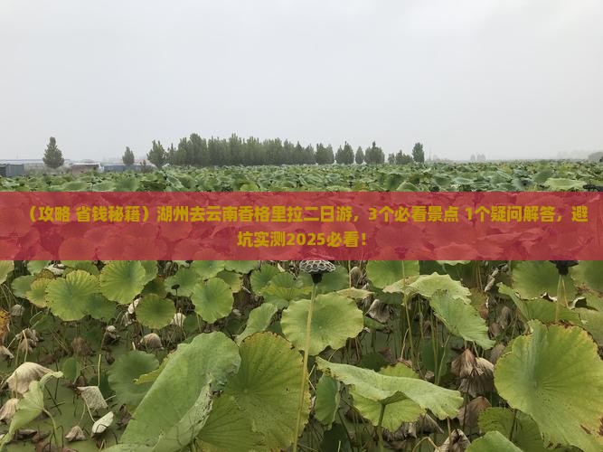 湖州去云南香格里拉二日游