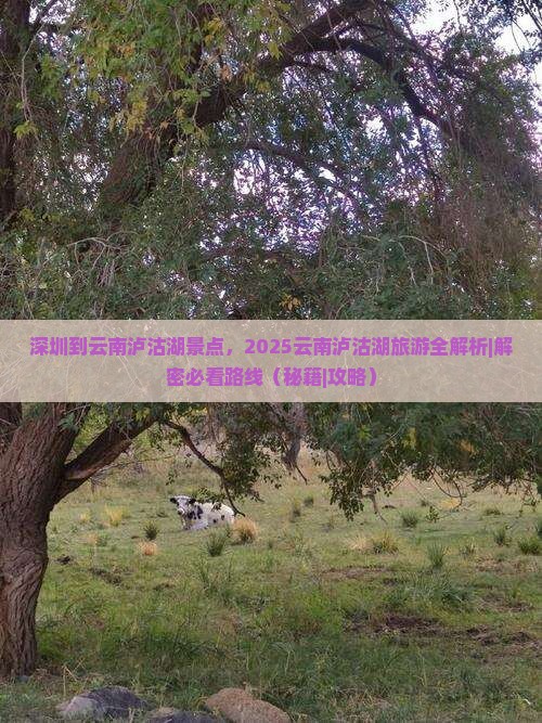 深圳到云南泸沽湖景点