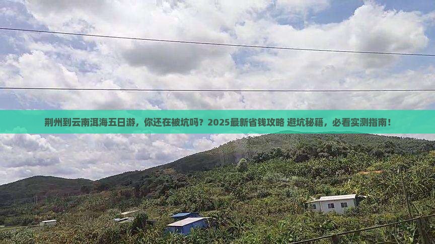 荆州到云南洱海五日游