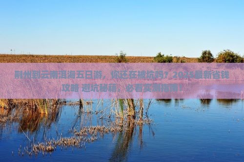 荆州到云南洱海五日游