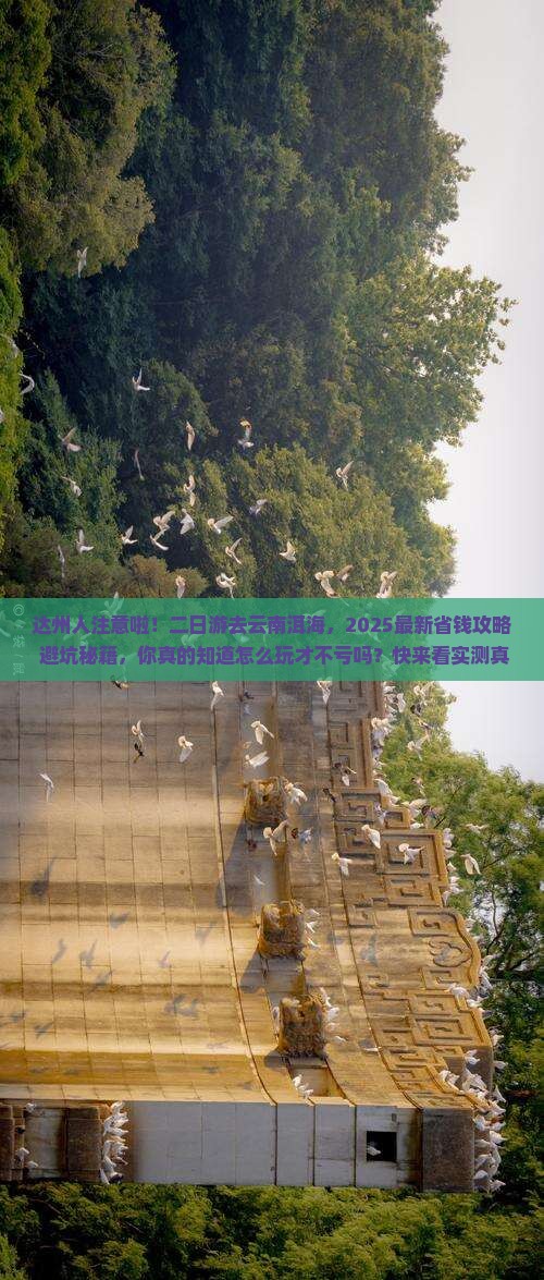 达州去云南洱海二日游