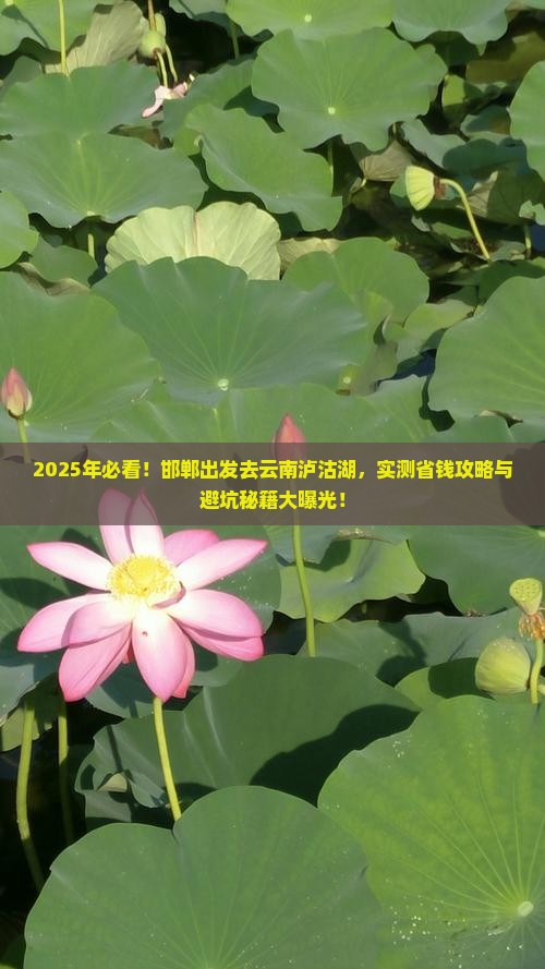 邯郸去云南泸沽湖个人游 邯郸去云南泸沽湖个人游