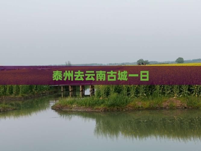 泰州去云南古城一日