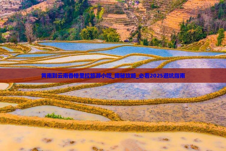 黄南到云南香格里拉旅游小吃