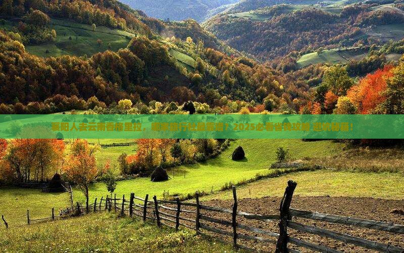 襄阳去云南香格里拉旅行社
