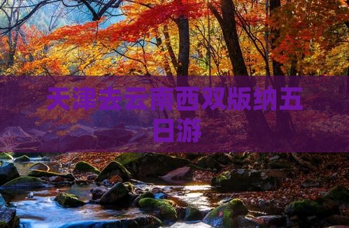 天津去云南西双版纳五日游
