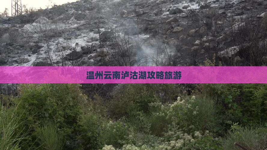 温州去云南泸沽湖自由行