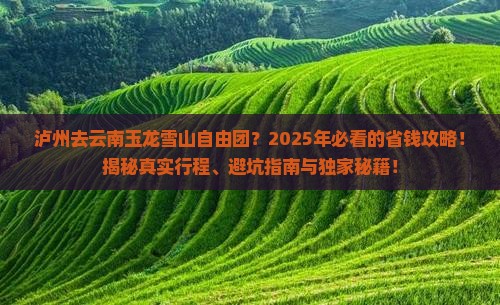 泸州去云南玉龙雪山自由团