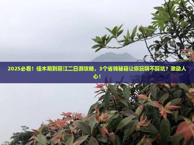 佳木斯到云南丽江二日游