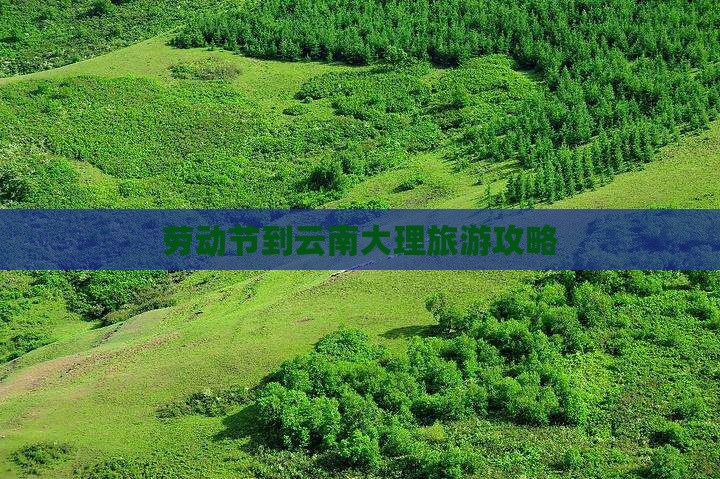 劳动节到云南大理攻略