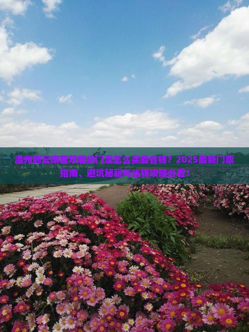 温州到云南西双版纳门票