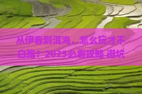 伊春去云南洱海攻略