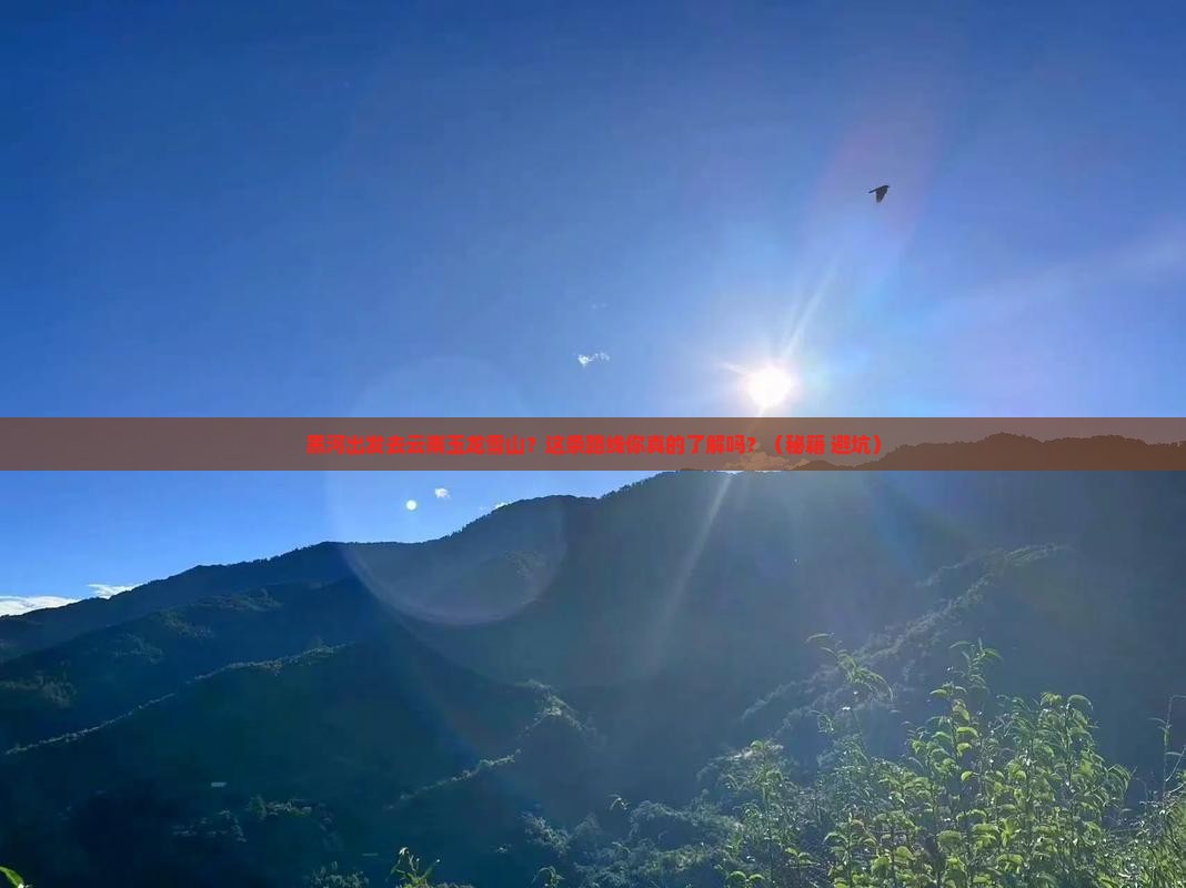 黑河到云南玉龙雪山旅行社