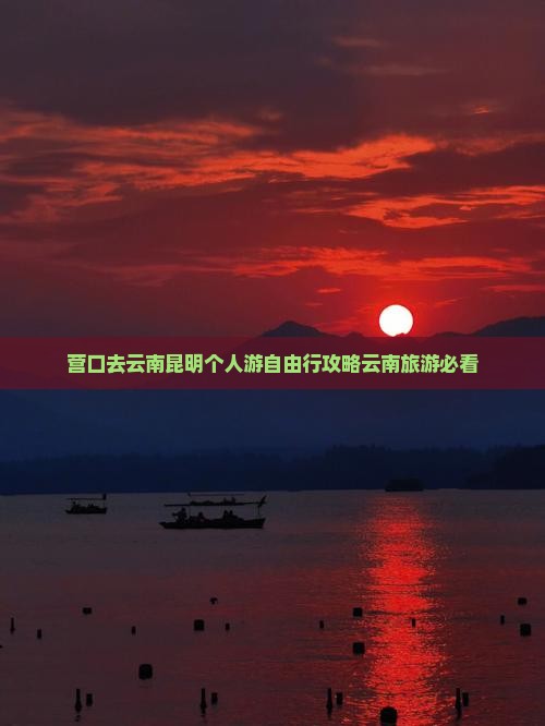 营口去云南昆明个人游
