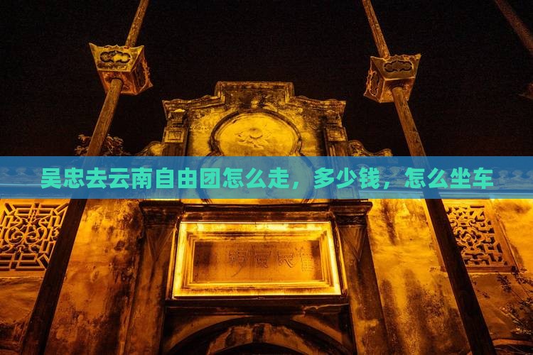 吴忠去云南自由团