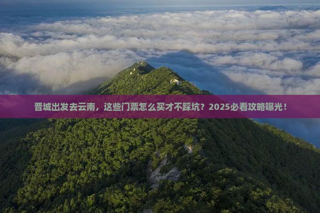 晋城去云南门票