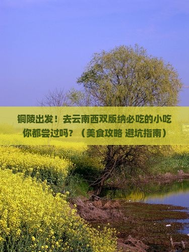 铜陵到云南西双版纳旅游小吃