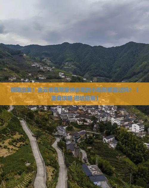 铜陵到云南西双版纳旅游小吃