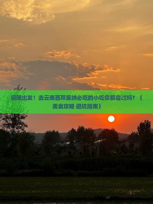 铜陵到云南西双版纳旅游小吃