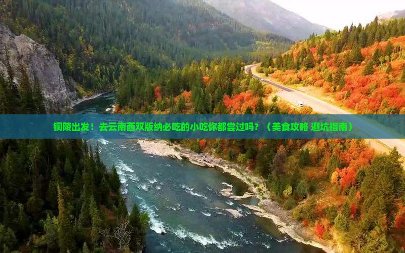 铜陵到云南西双版纳旅游小吃