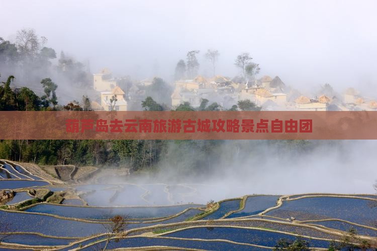 葫芦岛去云南古城自由团