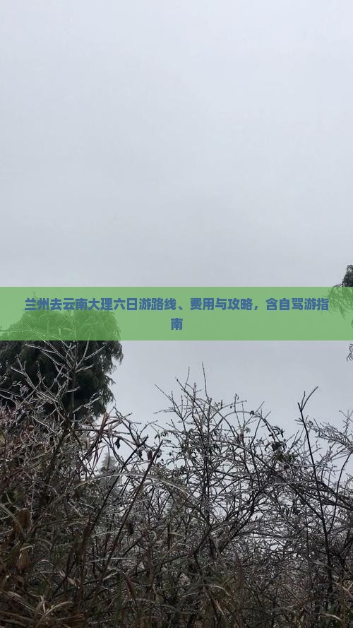 兰州去云南大理六日游