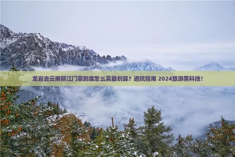 龙岩去云南丽江门票