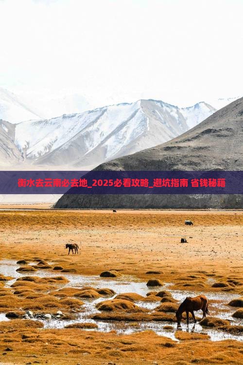 衡水去云南必去地