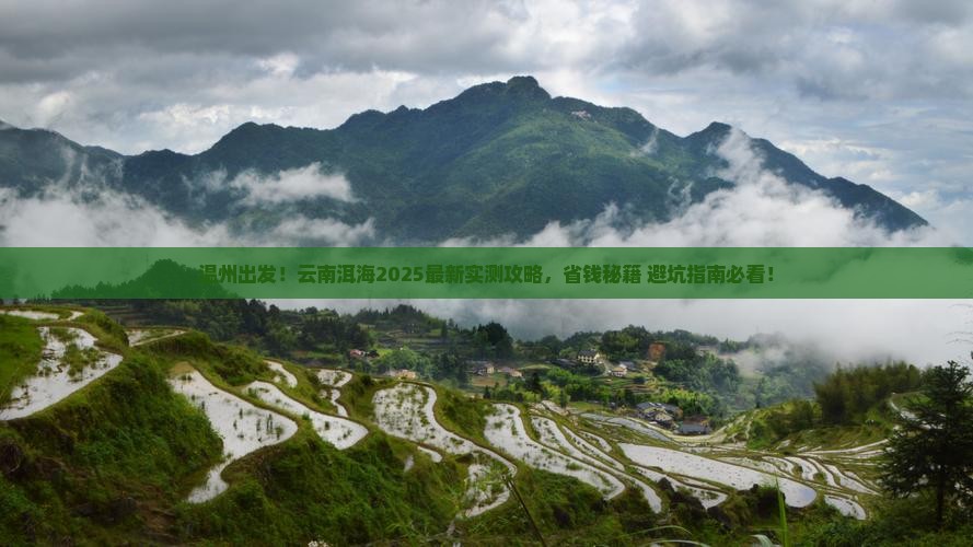 温州去云南洱海旅游