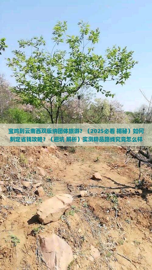 宝鸡到云南西双版纳团体旅游