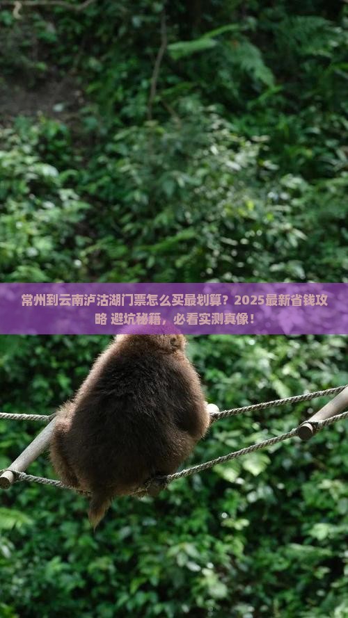 常州到云南泸沽湖门票