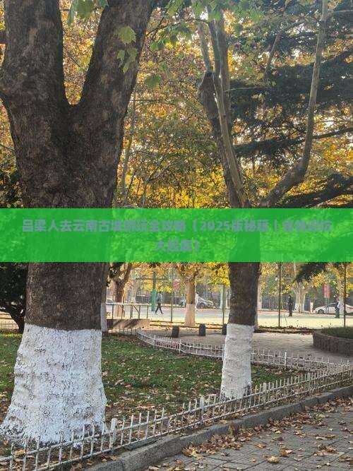 吕梁到云南古城哪里玩