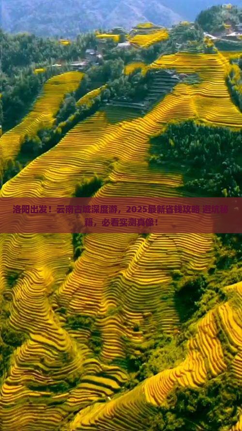 洛阳去云南古城攻略
