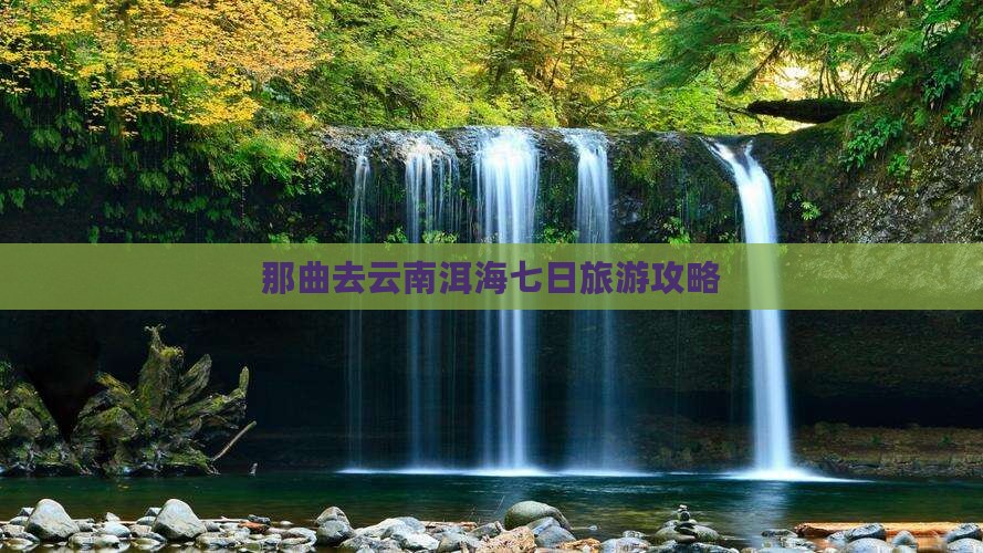 那曲去云南洱海七日游 那曲去云南洱海七日游