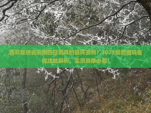 西双版纳去云南四日游