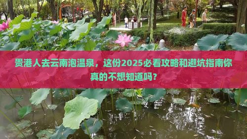 贵港去云南温泉团体旅游