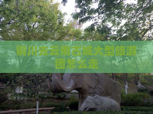 铜川去云南古城大型旅游团