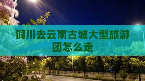 铜川去云南古城大型旅游团