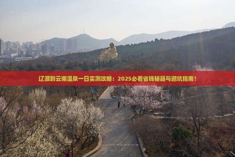 辽源到云南温泉一日
