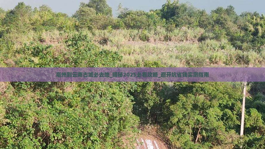 亳州到云南古城必去地