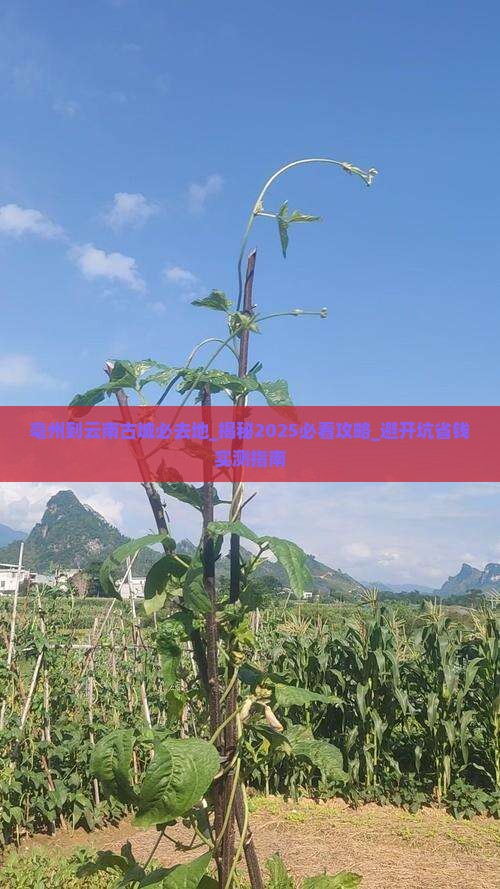 亳州到云南古城必去地