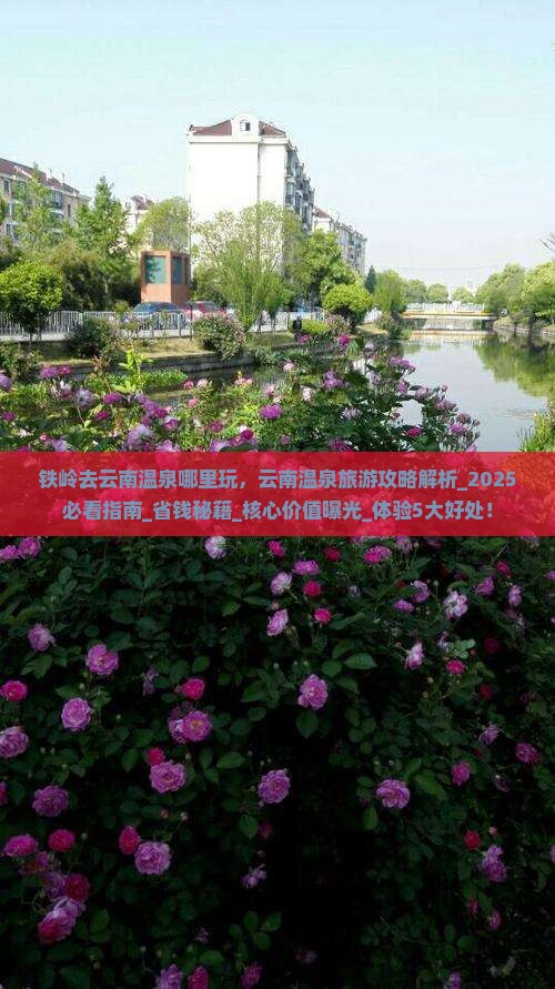 铁岭去云南温泉哪里玩