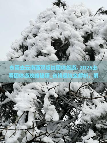 东莞去云南西双版纳团体旅游