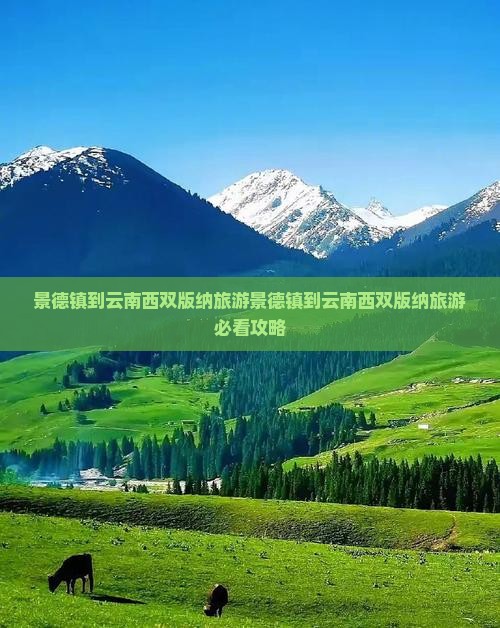 景德镇到云南西双版纳旅游
