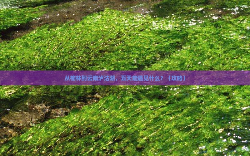 榆林到云南泸沽湖五日游