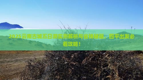 四平去云南古城五日游