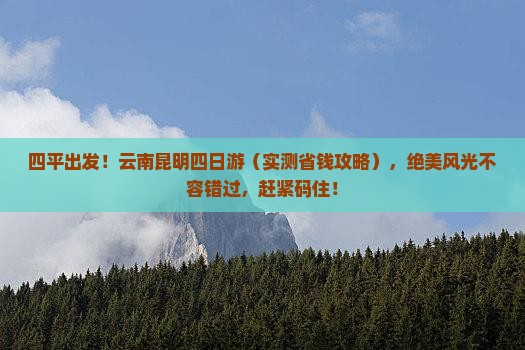 四平去云南昆明四日游