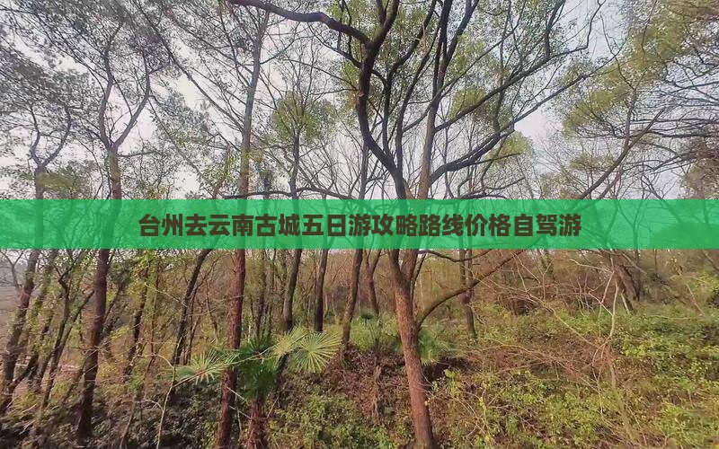 台州去云南古城五日游